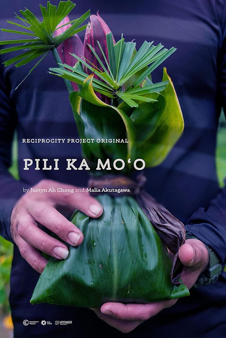 Poster of Pili Ka Moʻo