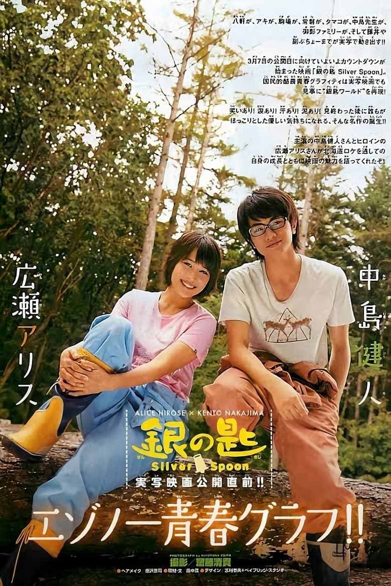 Poster of Silver Spoon