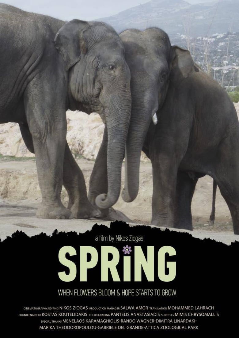 Poster of Spring