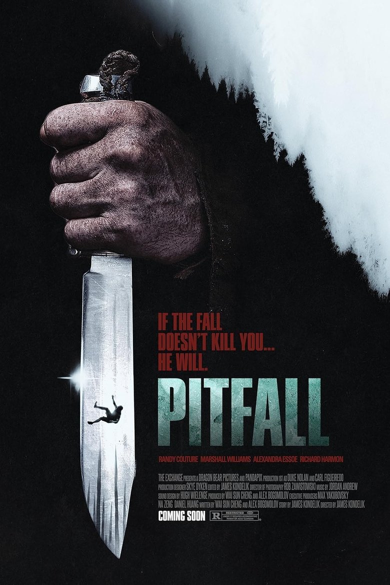 Poster of Pitfall