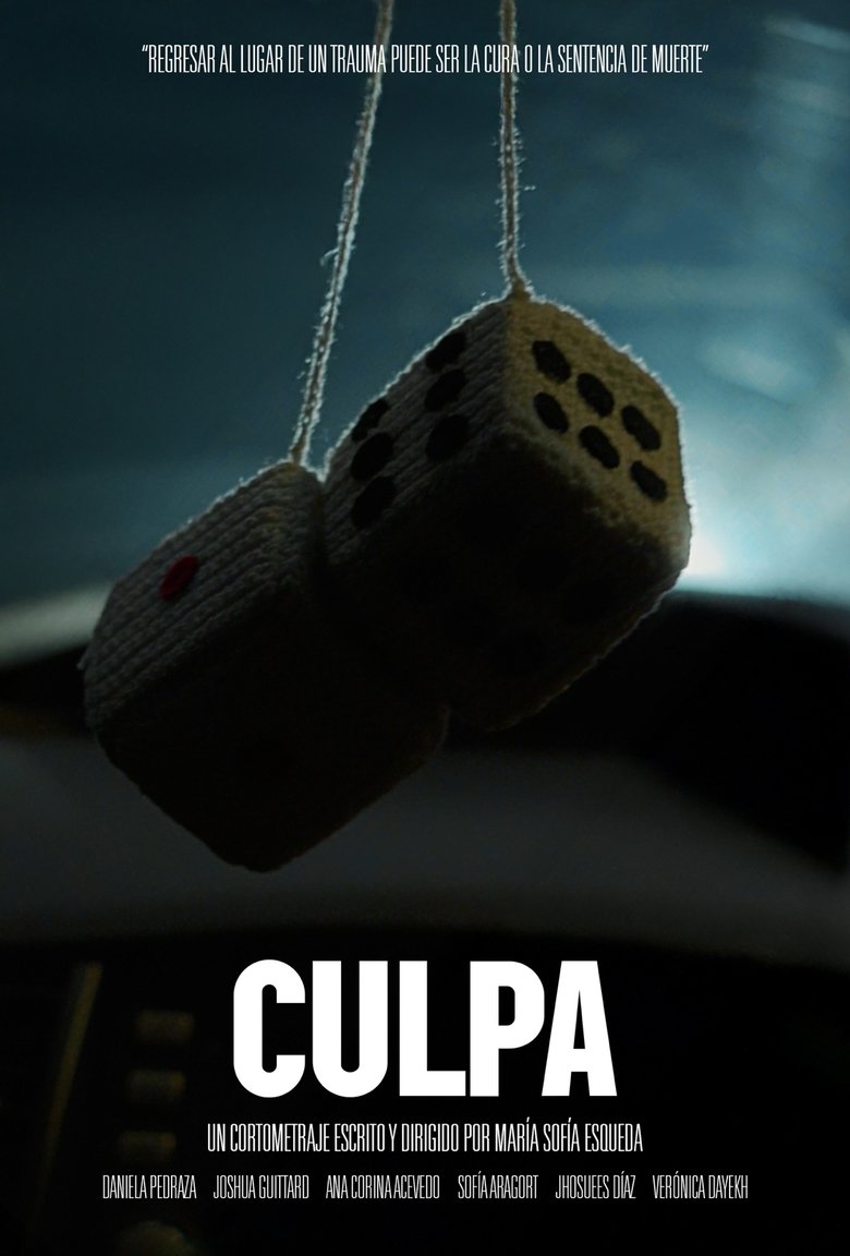 Poster of Culpa