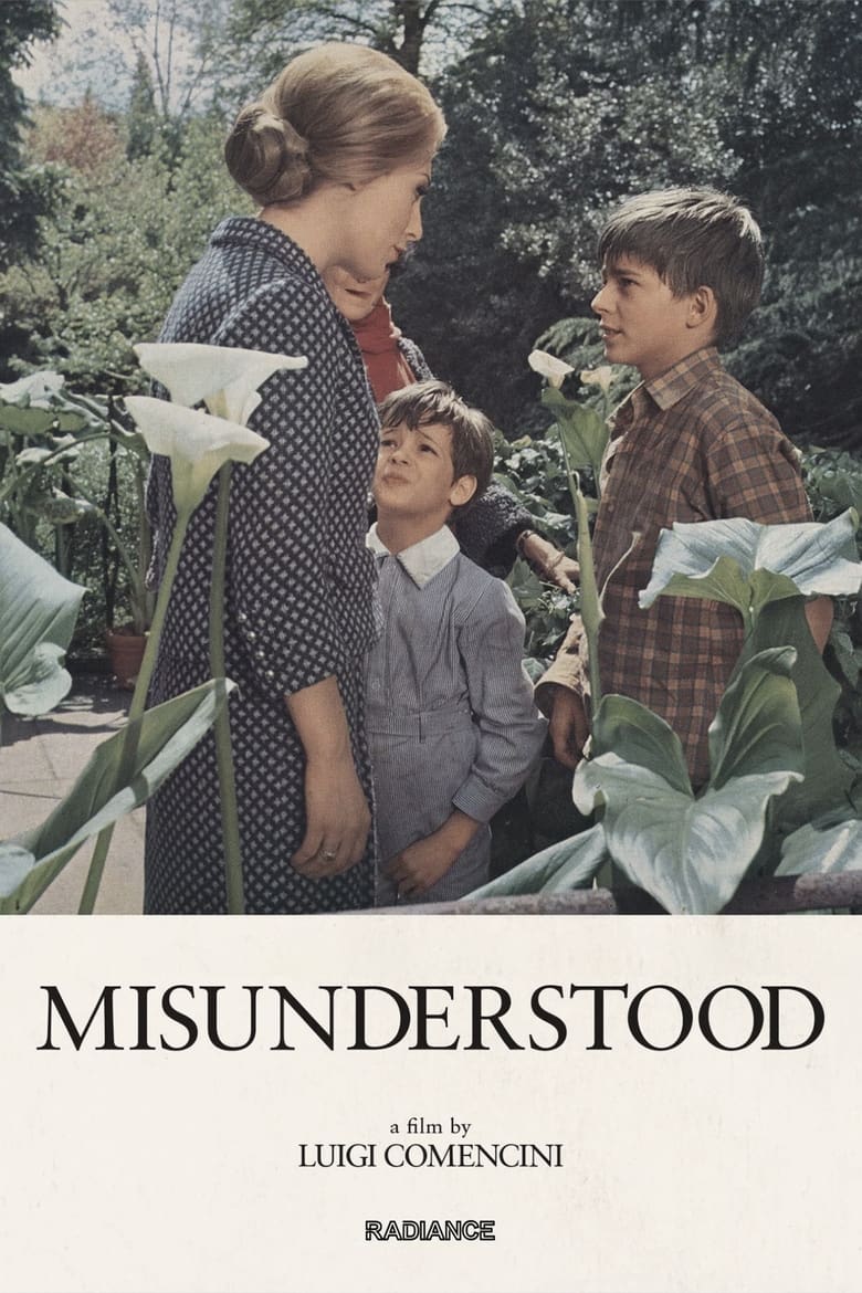 Poster of Misunderstood