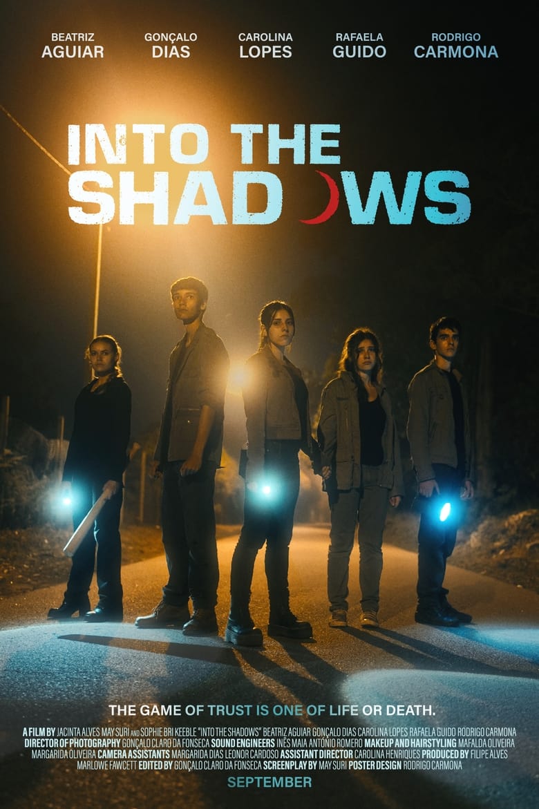 Poster of Into the Shadows