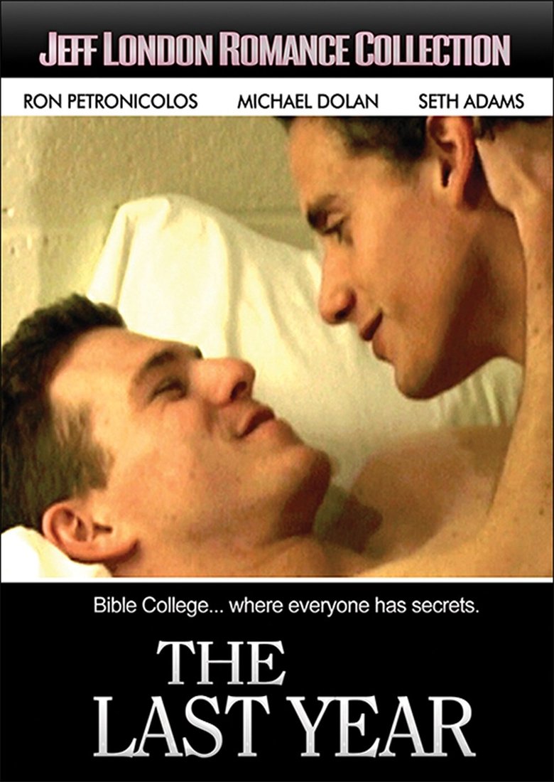 Poster of The Last Year