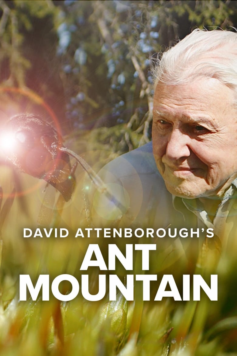 Poster of David Attenborough's Ant Mountain