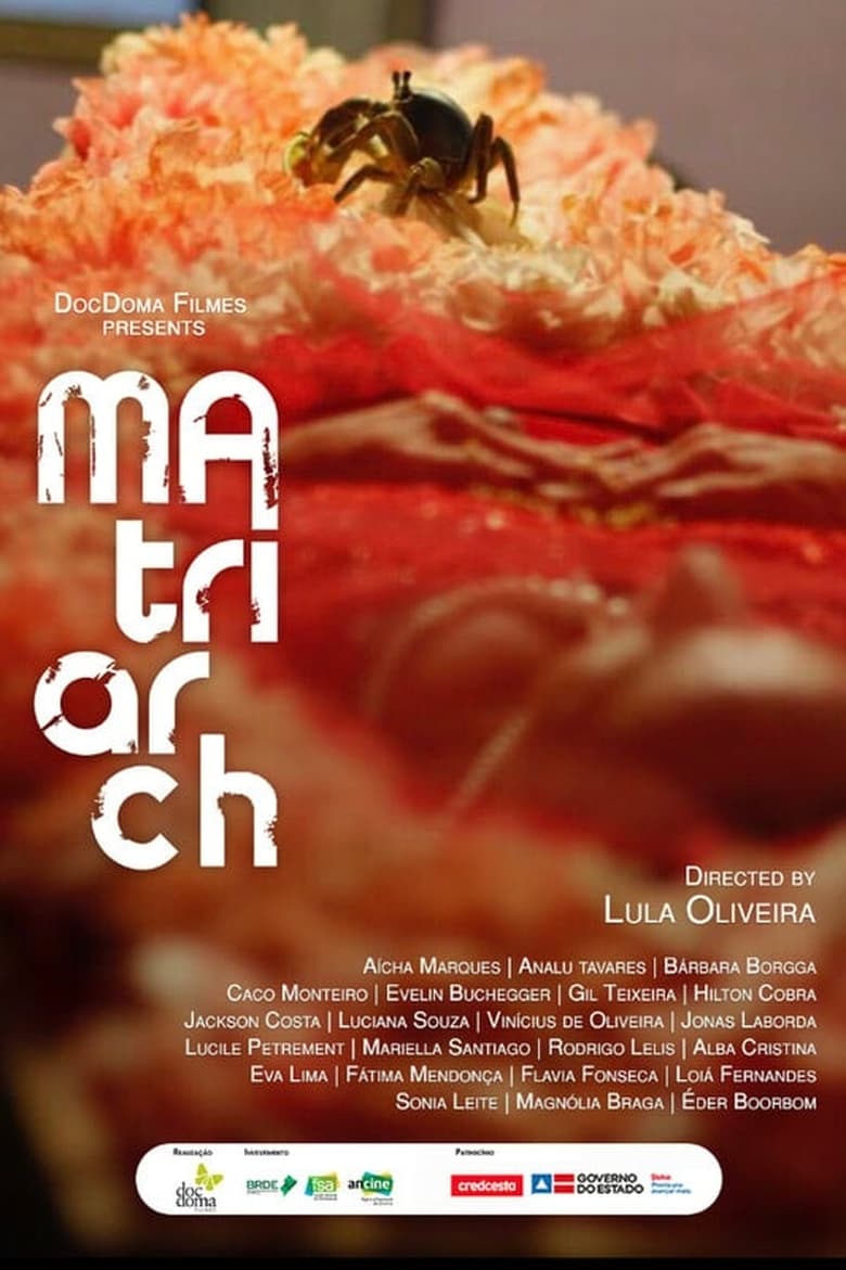 Poster of A Matriarca