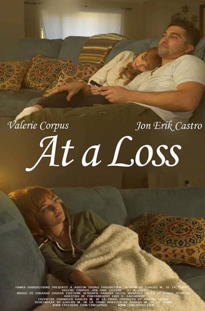 Poster of At a Loss