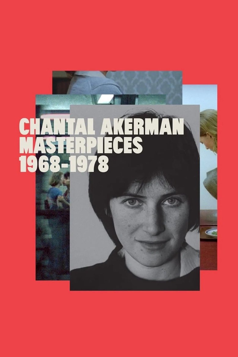 Poster of A New Way of Seeing: B. Ruby Rich on Chantal Akerman