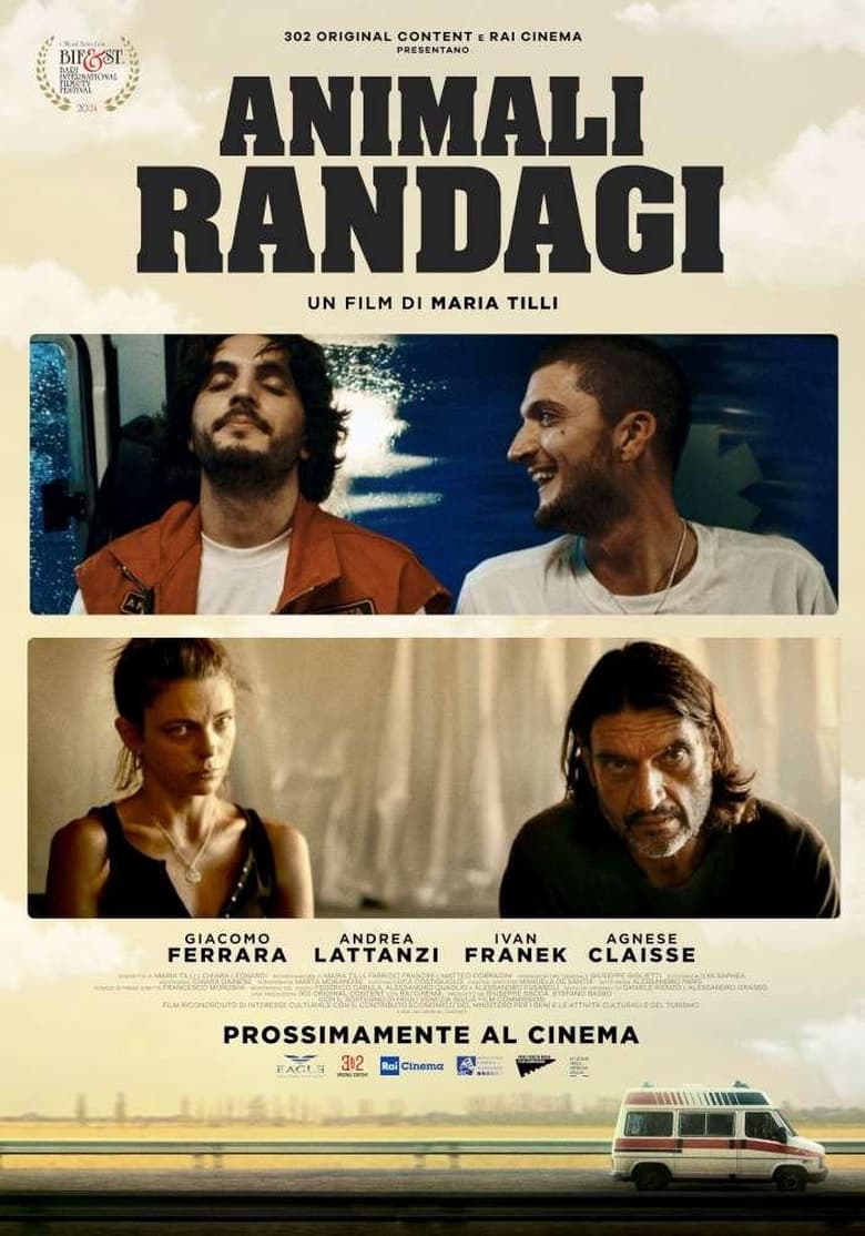 Poster of Animali randagi