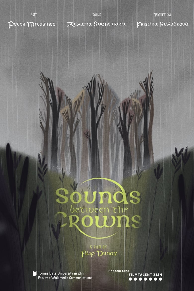 Poster of Sounds Between the Crowns