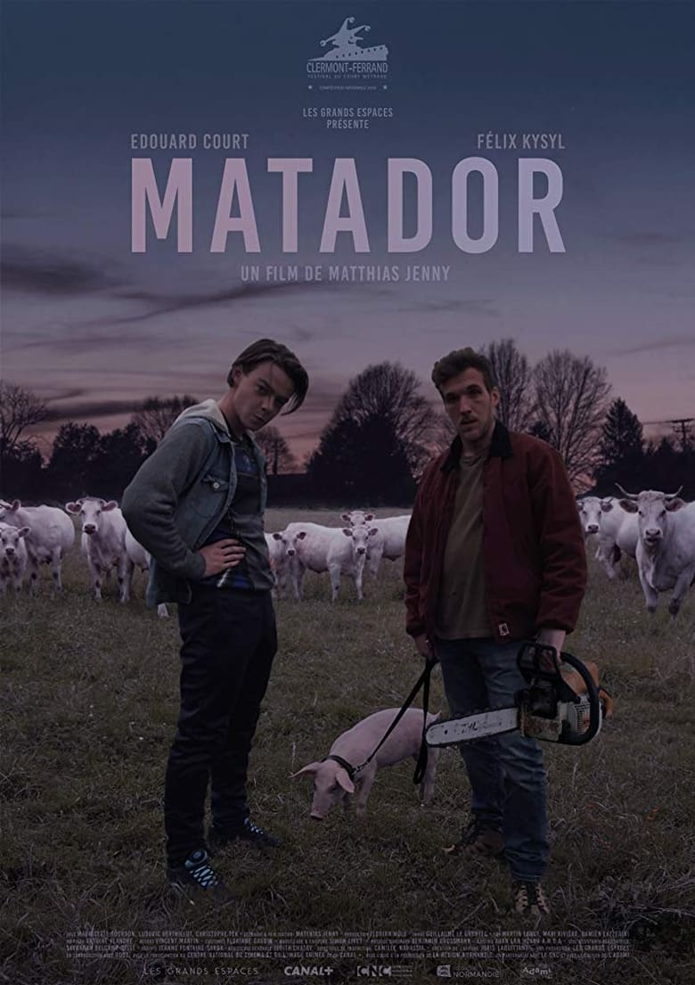 Poster of Matador