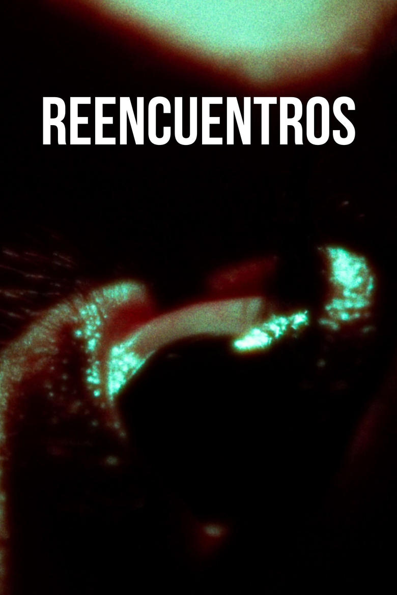 Poster of Reencuentros