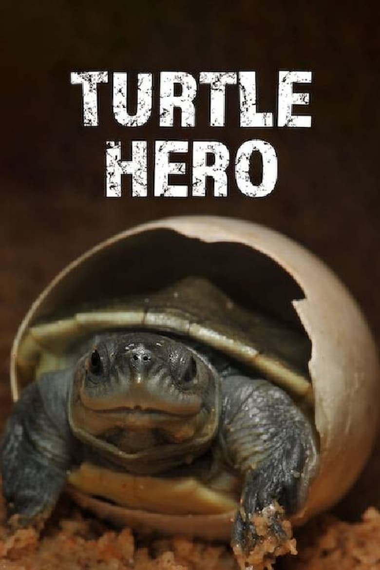 Poster of Turtle Hero