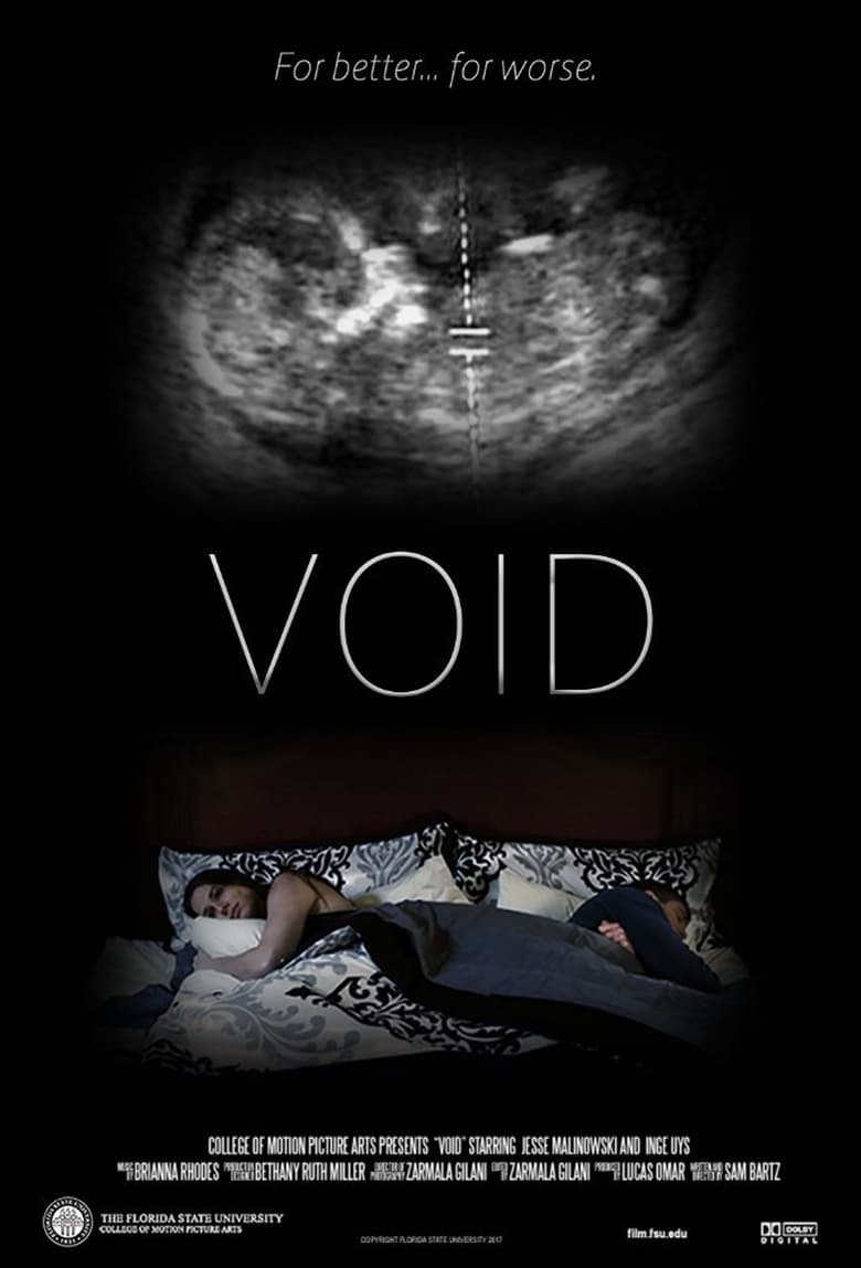 Poster of Void