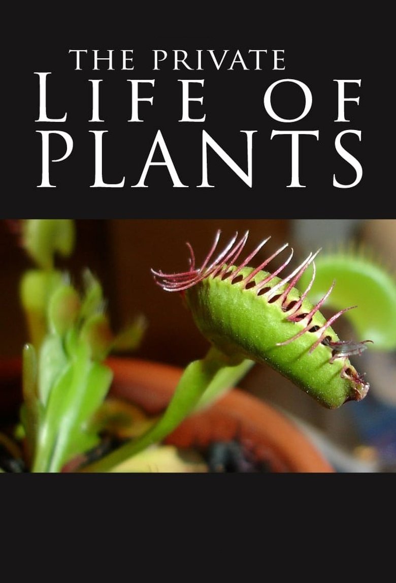 Poster of The Private Life of Plants