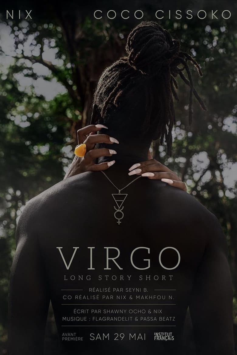 Poster of Virgo – Long Story Short