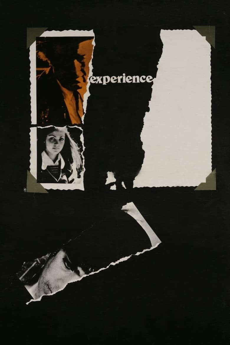 Poster of The Experience