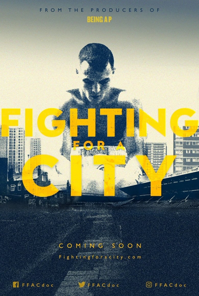 Poster of Fighting For A City