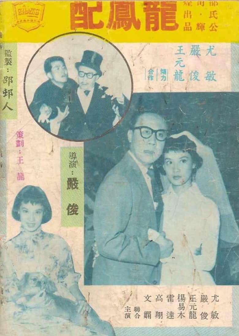 Poster of A Marriage for Love