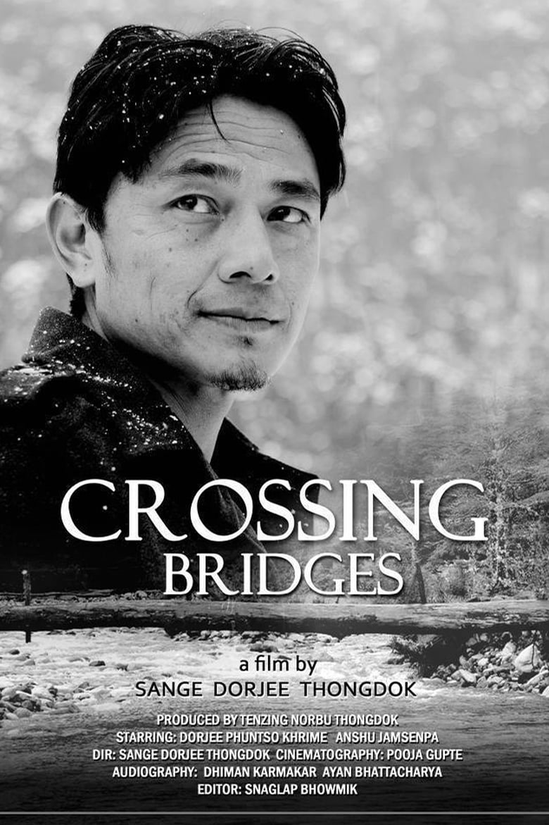 Poster of Crossing Bridges