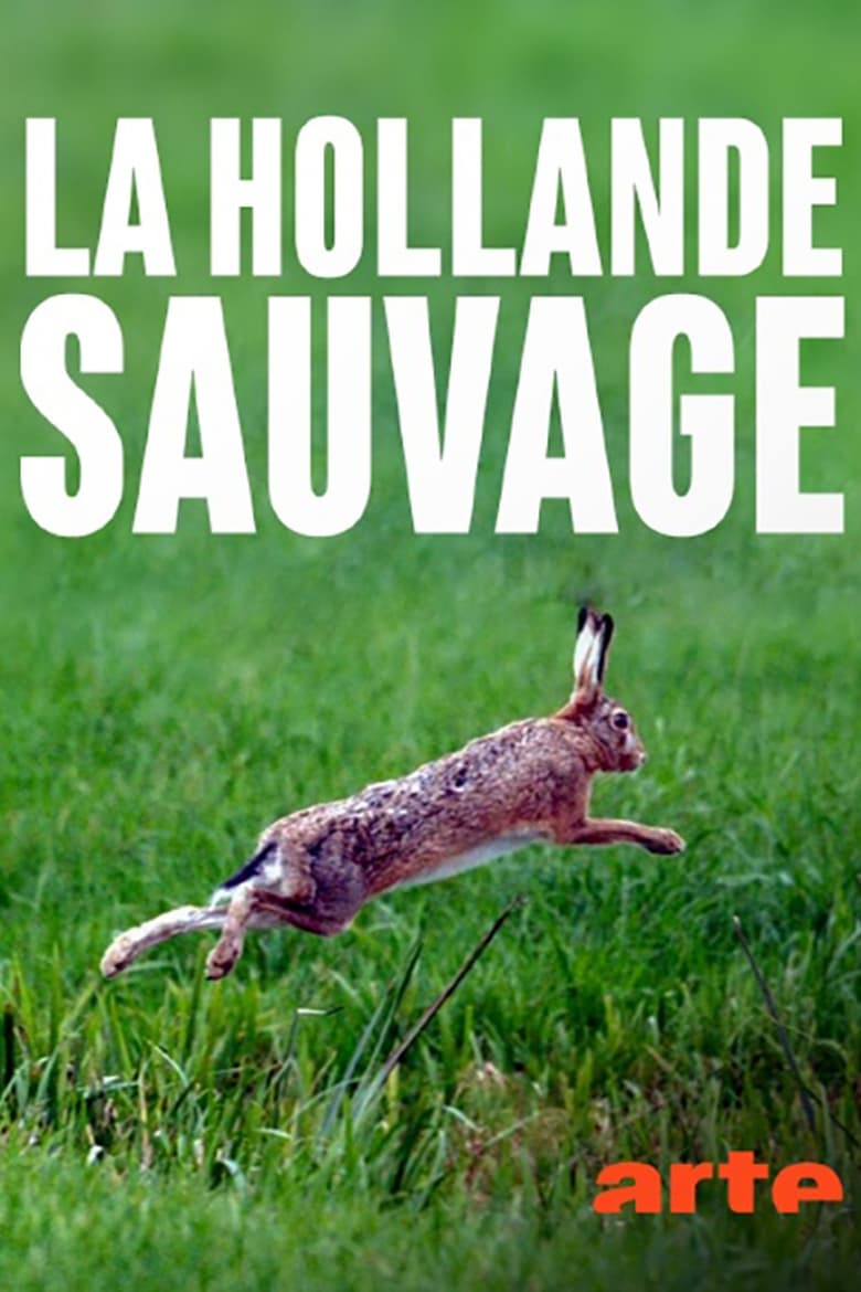 Poster of La Hollande sauvage - Dans l'oeil du delta