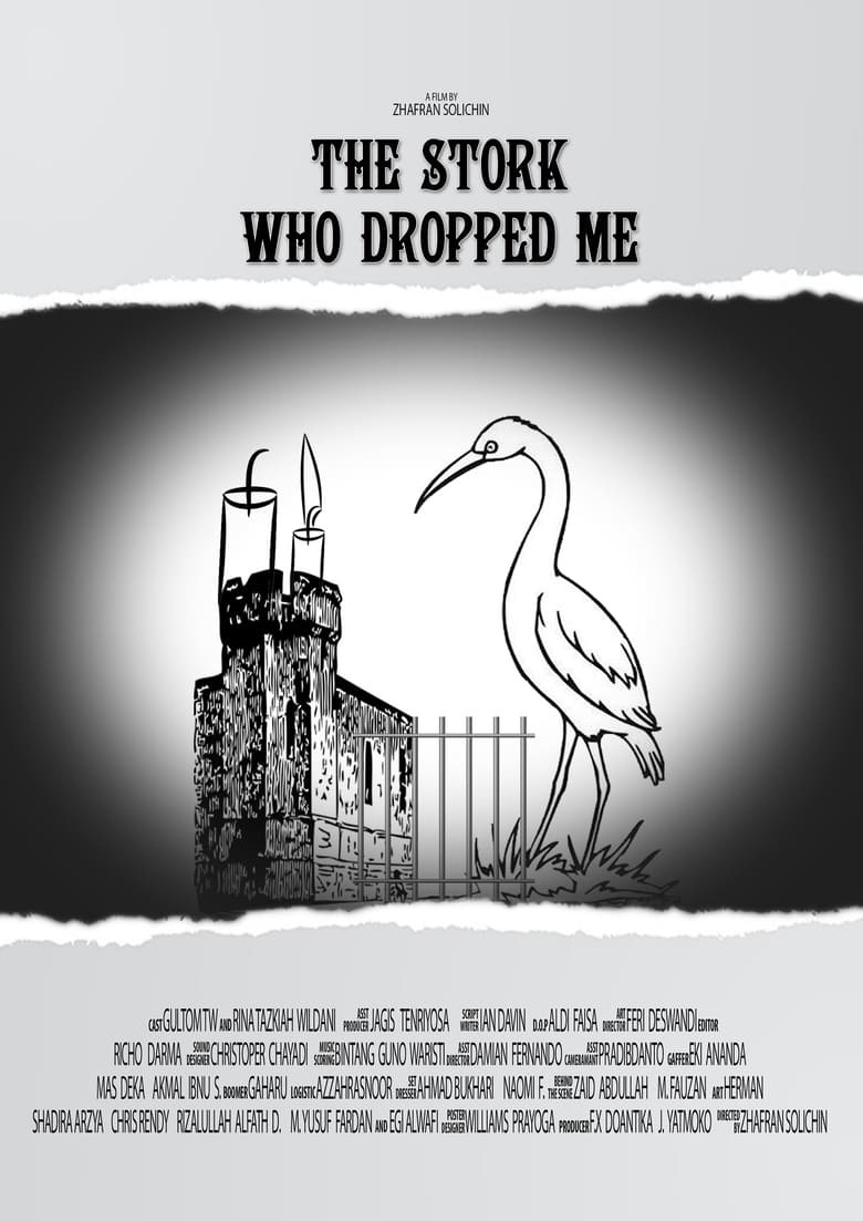 Poster of The Stork Who Dropped Me