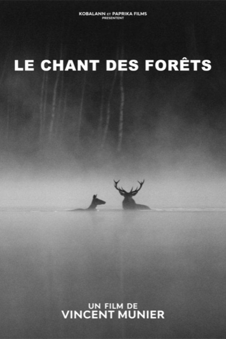 Poster of Le chant des forêts