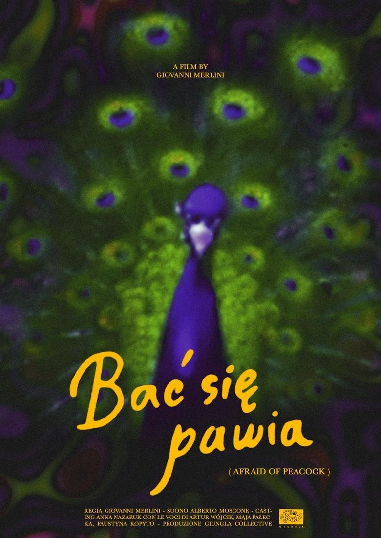 Poster of Afraid of Peacock