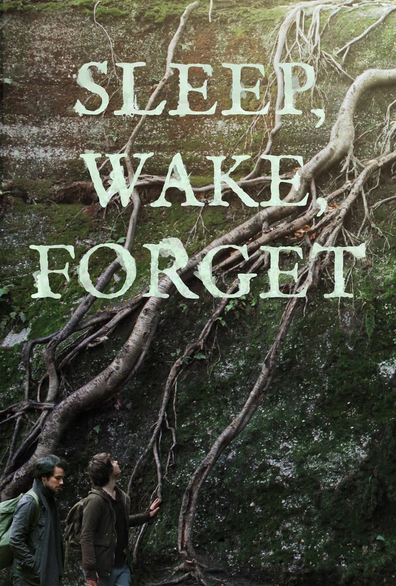 Poster of Sleep, Wake, Forget