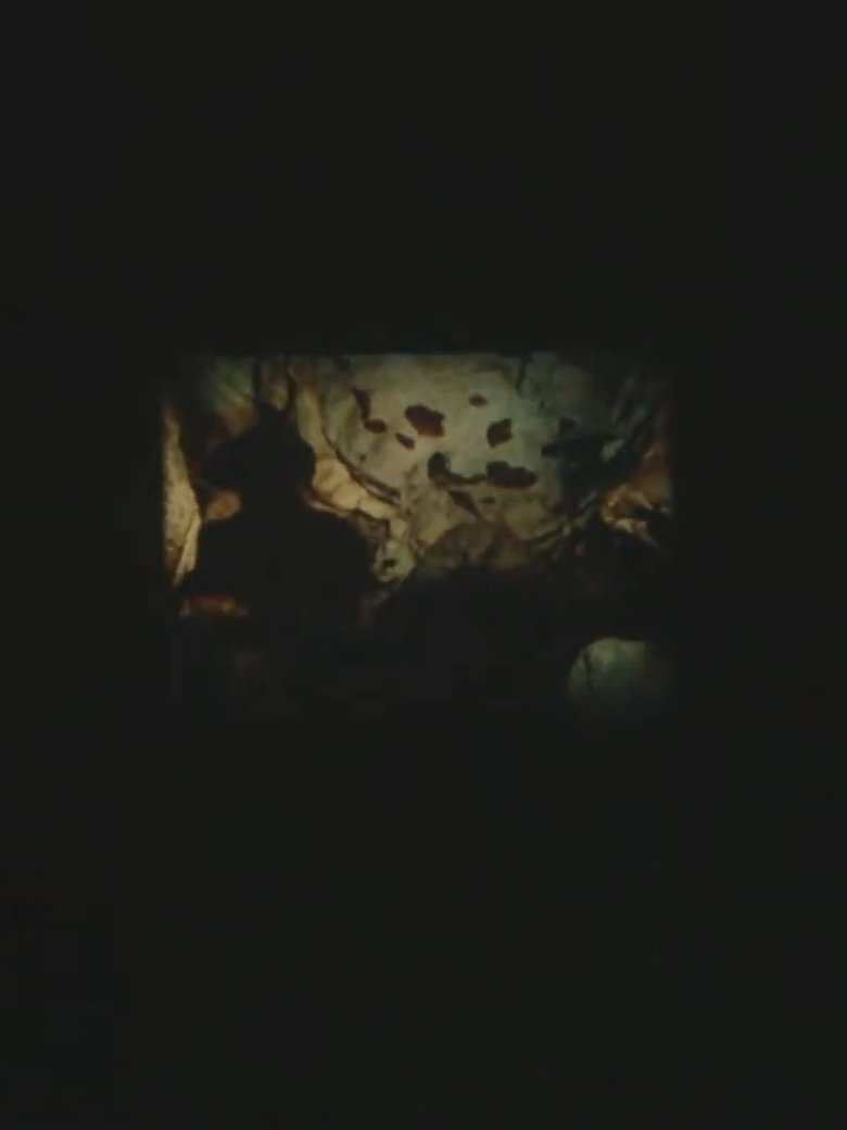 Poster of Sans titre (Lascaux)