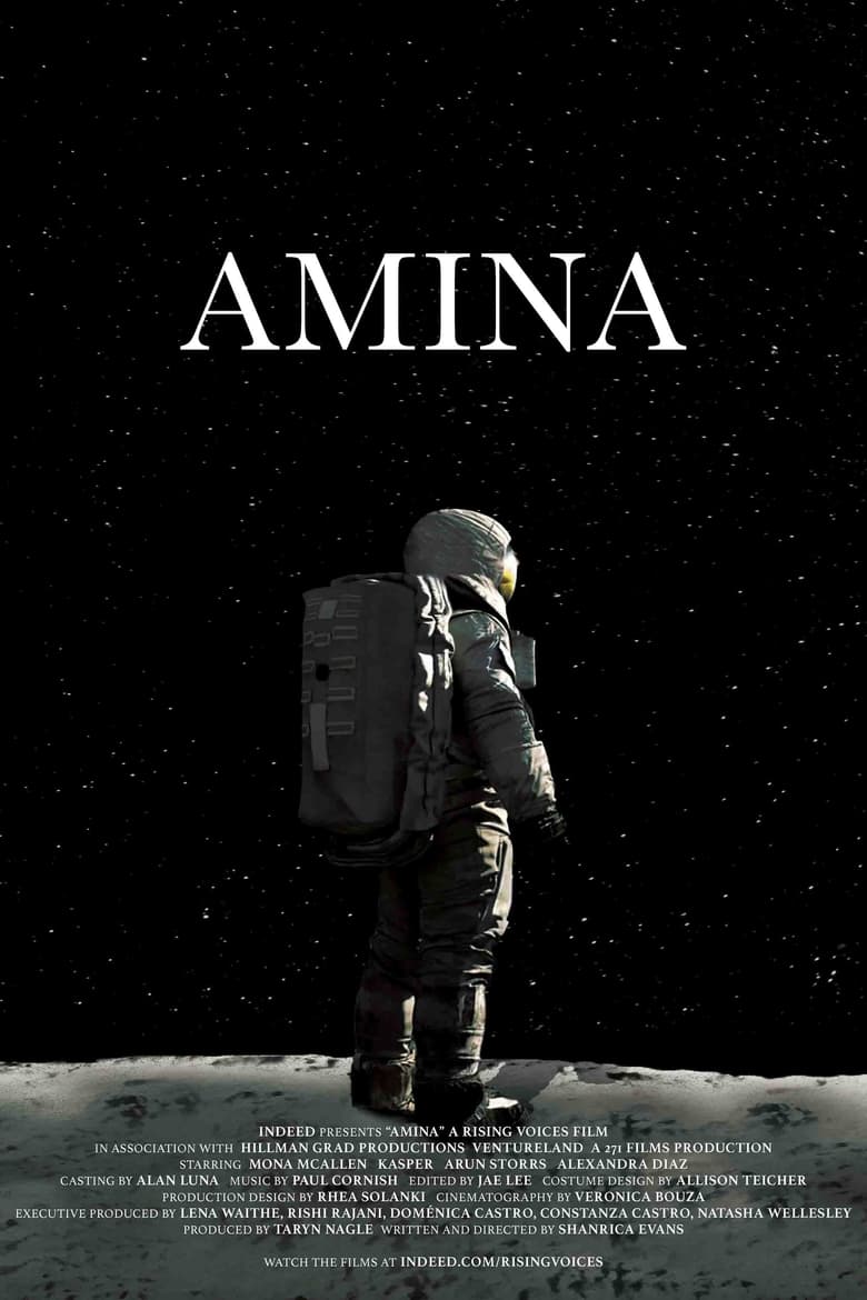 Poster of Amina