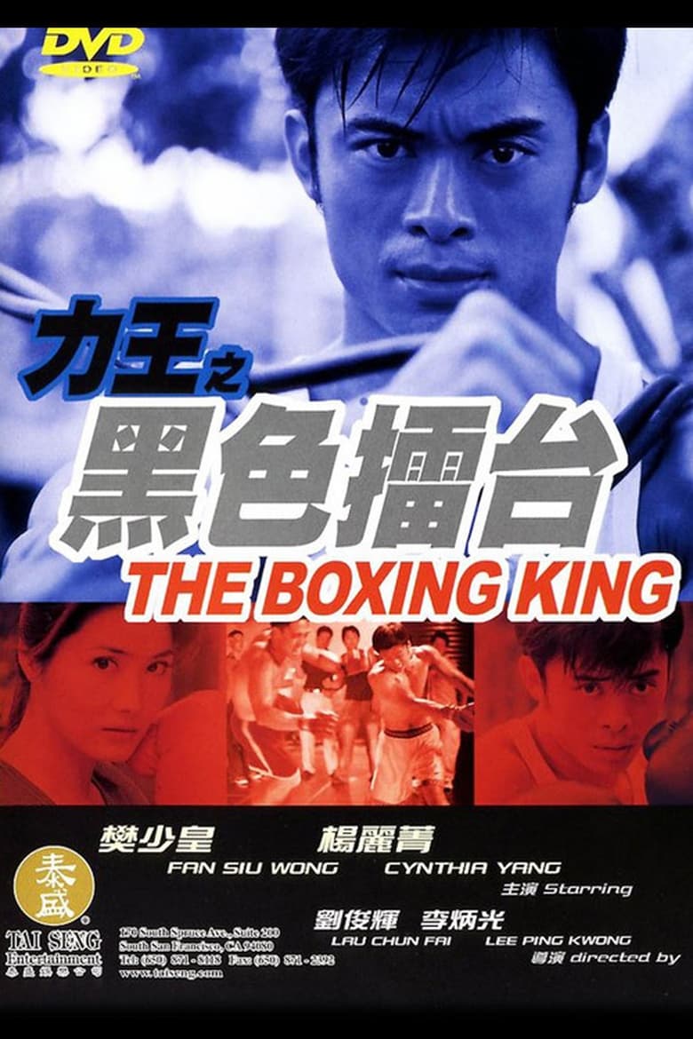 Poster of The Boxing King