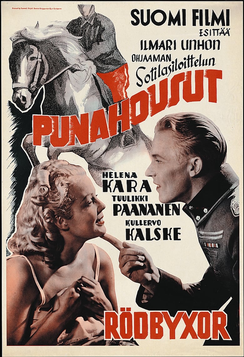 Poster of Punahousut