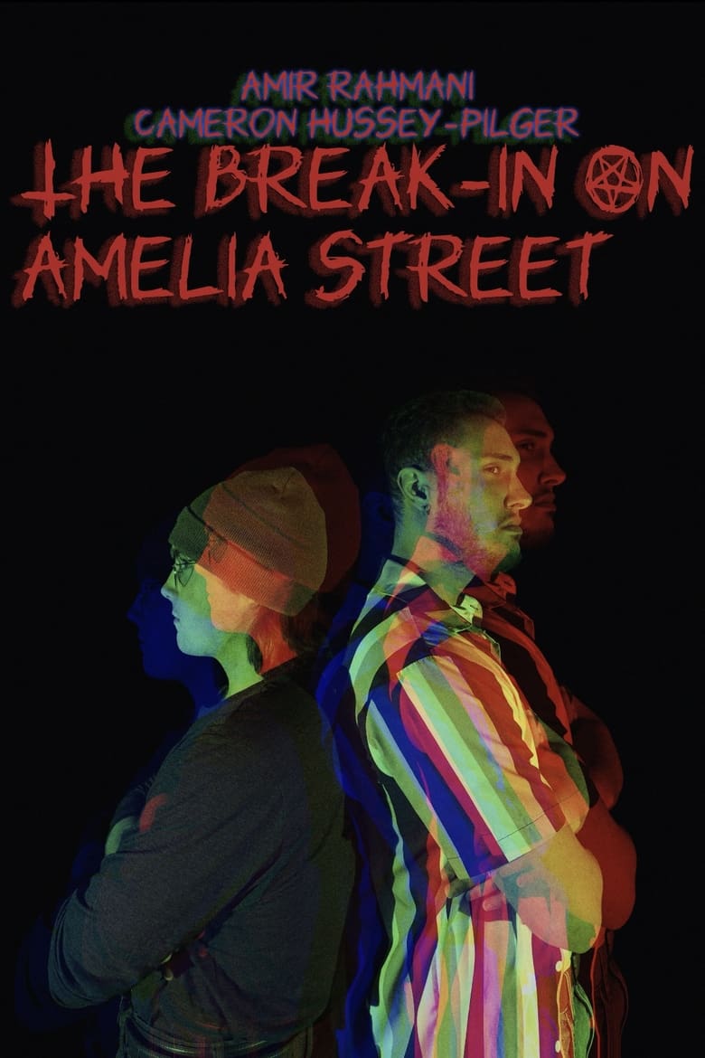 Poster of The Break-In On Amelia Street