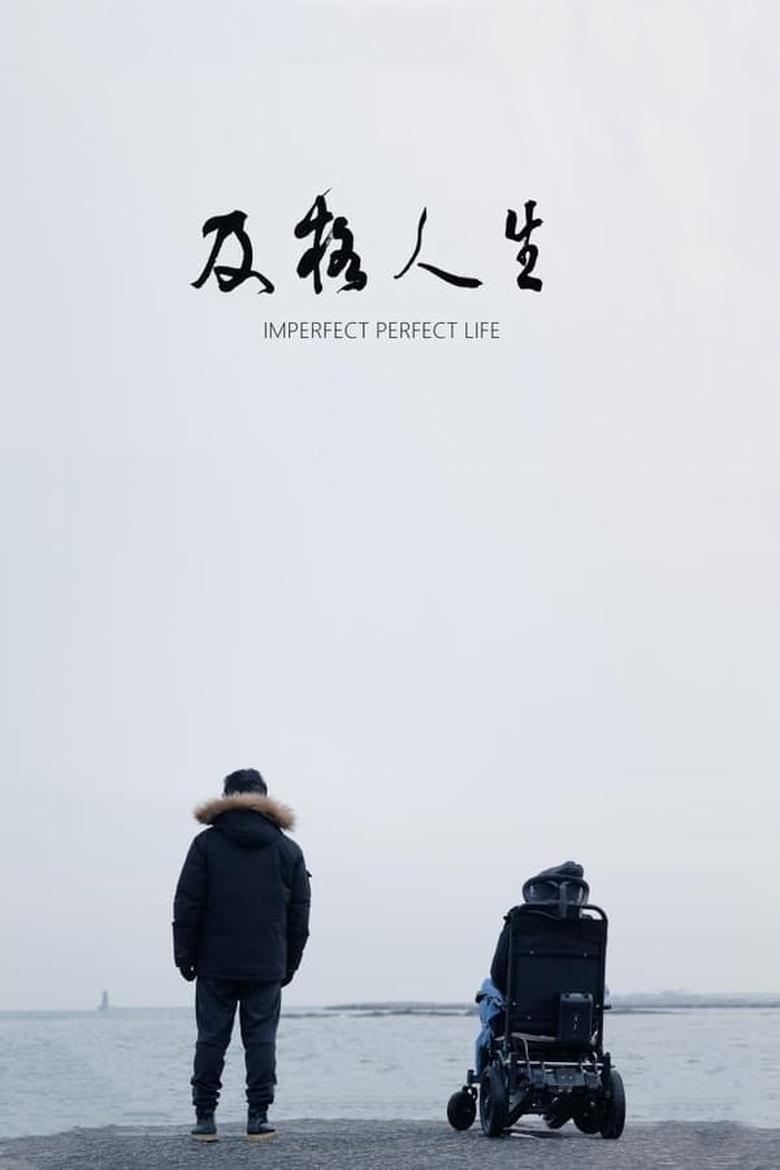 Poster of Imperfect Perfect Life