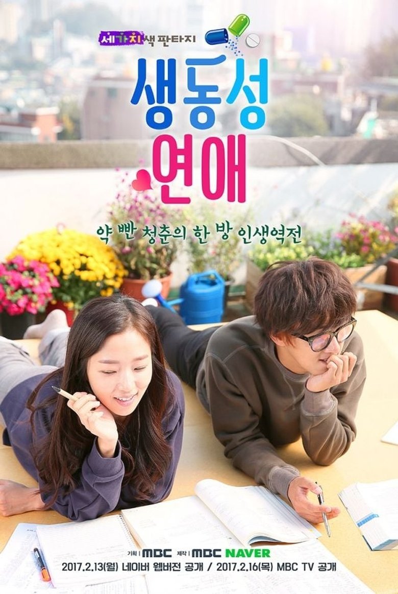 Poster of Romance Full of Life