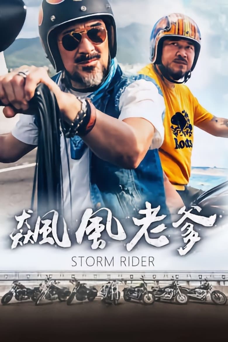 Poster of Storm Rider