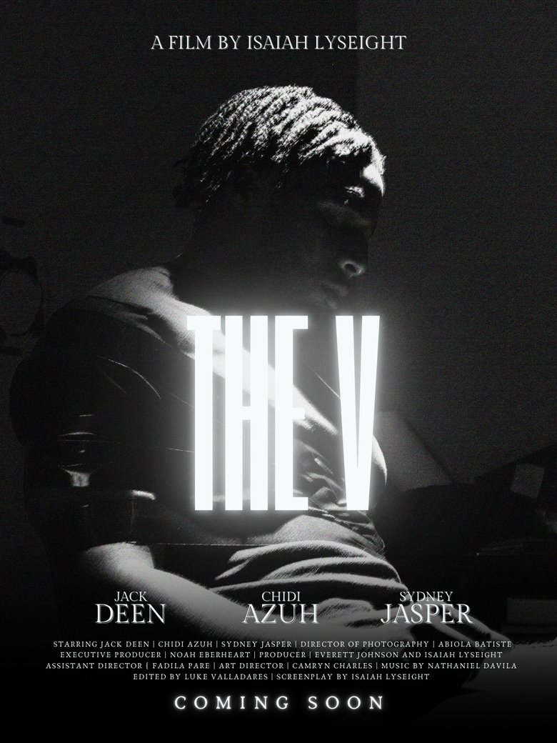 Poster of The V