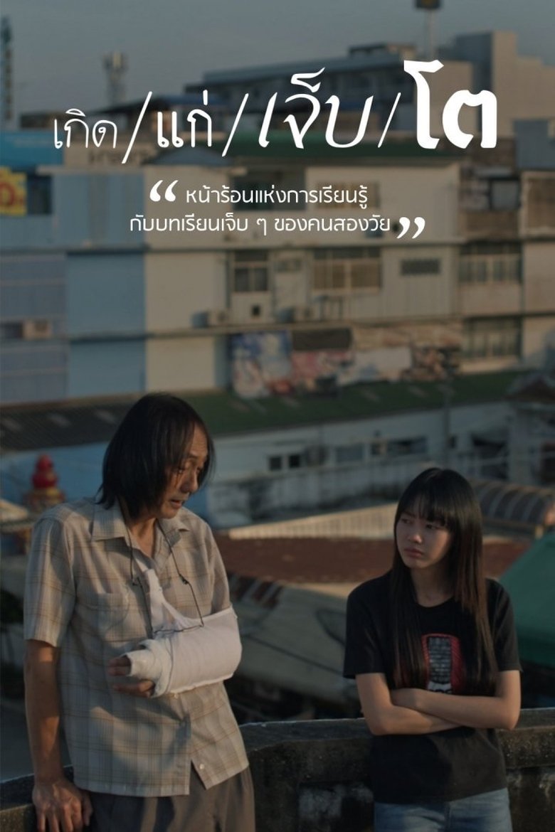 Poster of The Summer We Met