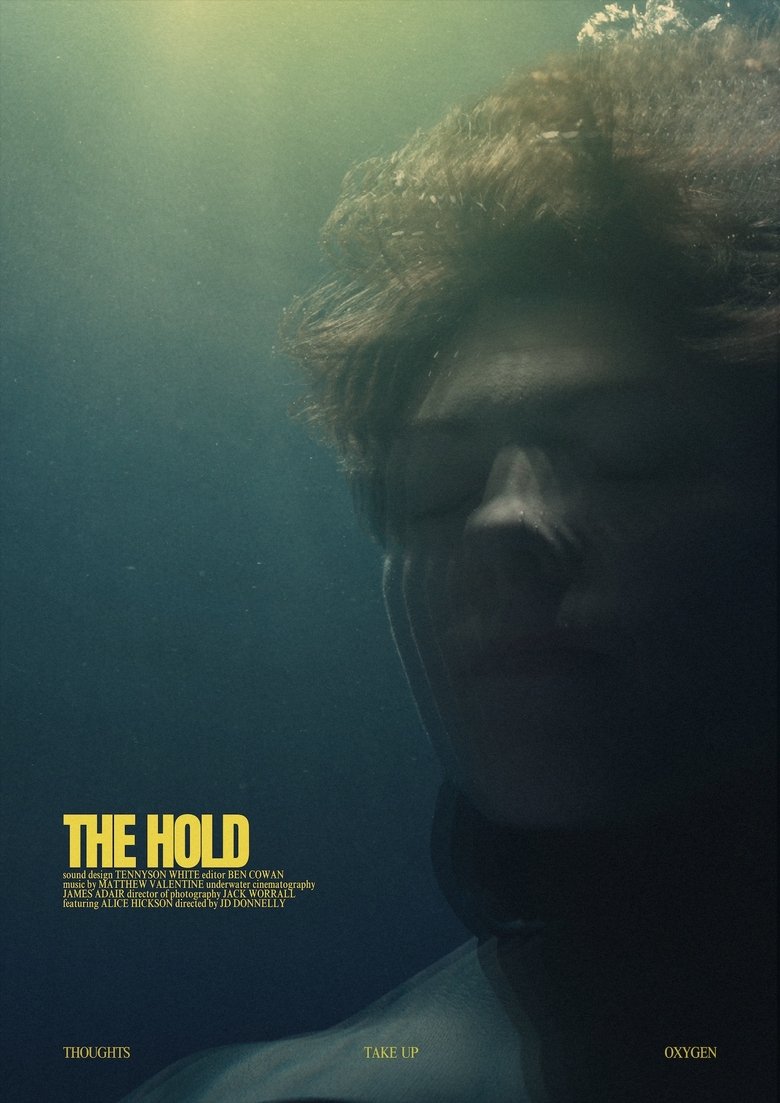 Poster of The Hold