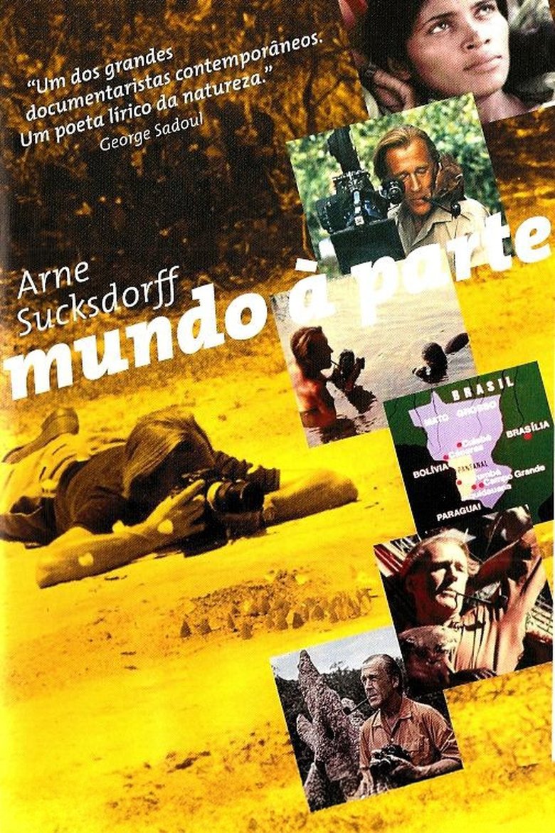 Poster of A World Apart
