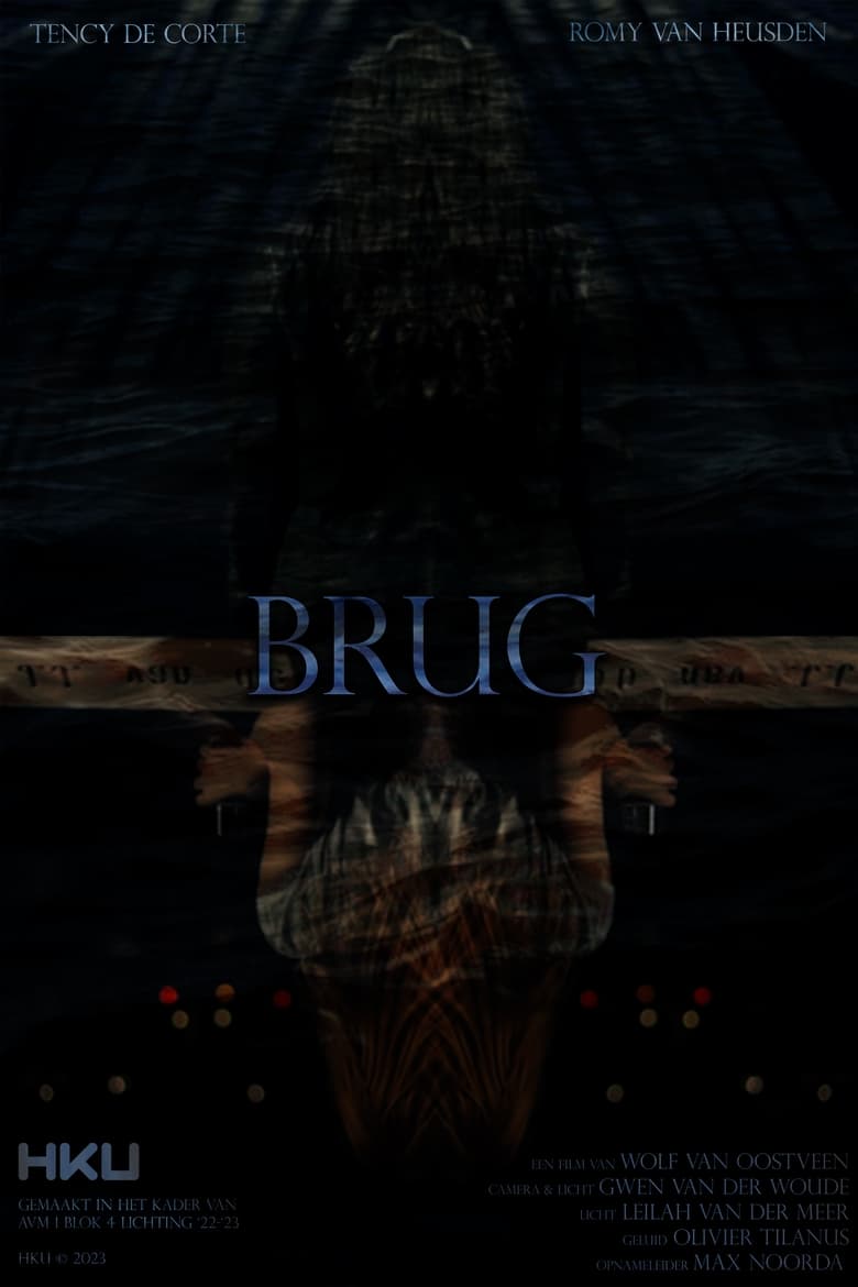 Poster of Brug