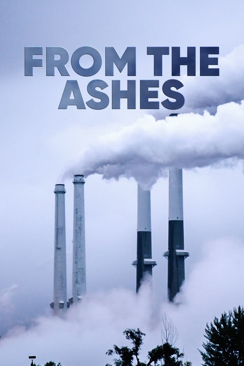 Poster of From the Ashes