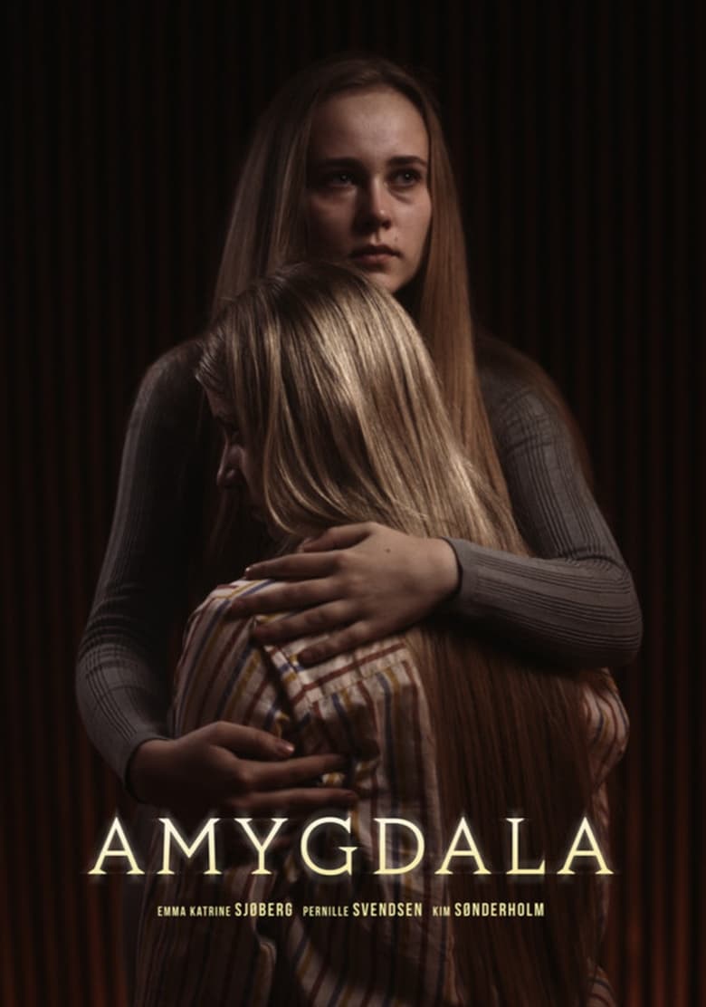 Poster of Amygdala