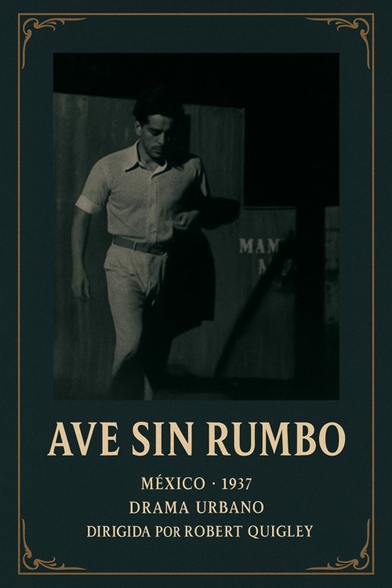 Poster of Ave sin rumbo