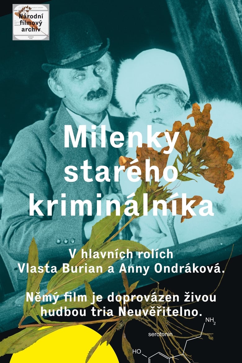 Poster of The Lovers of an Old Criminal