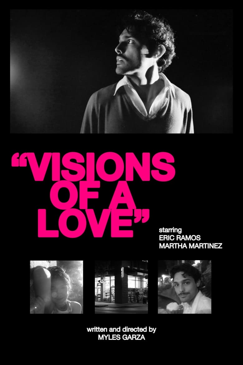 Poster of Visions of a Love