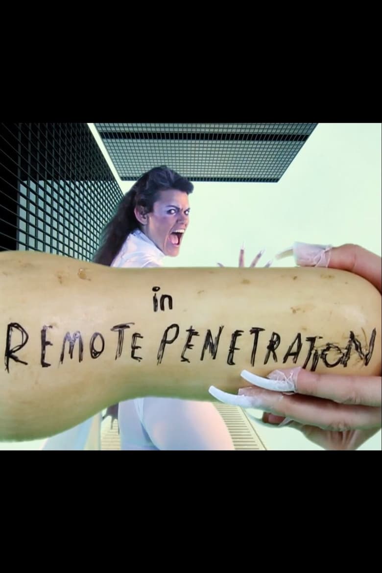 Poster of Remote Penetration / Stain of History