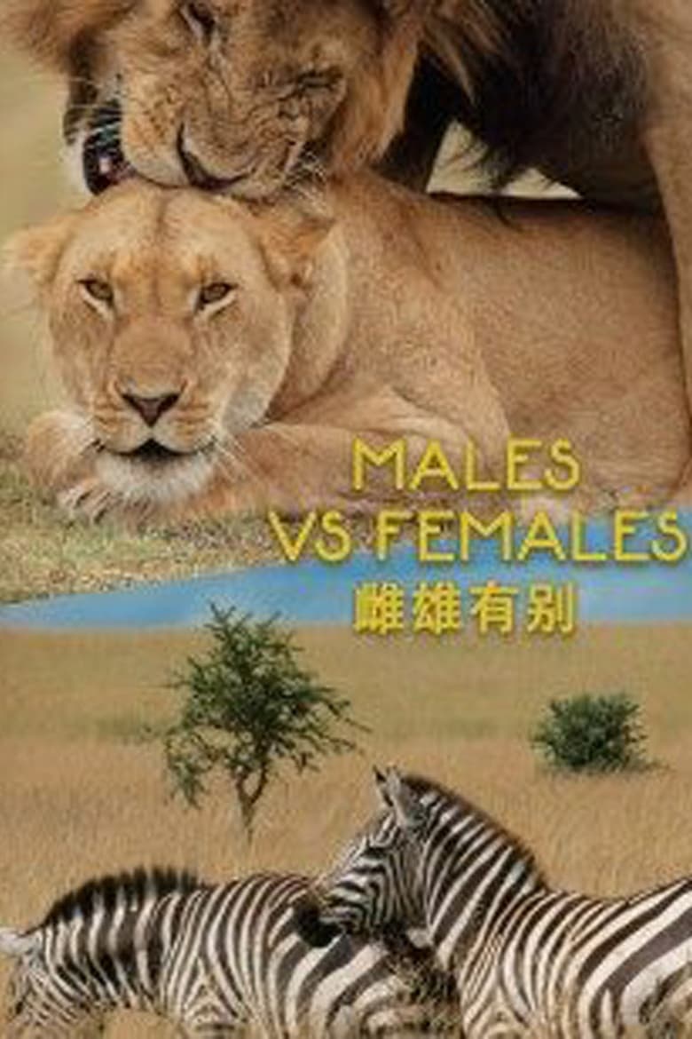 Poster of Males VS Females