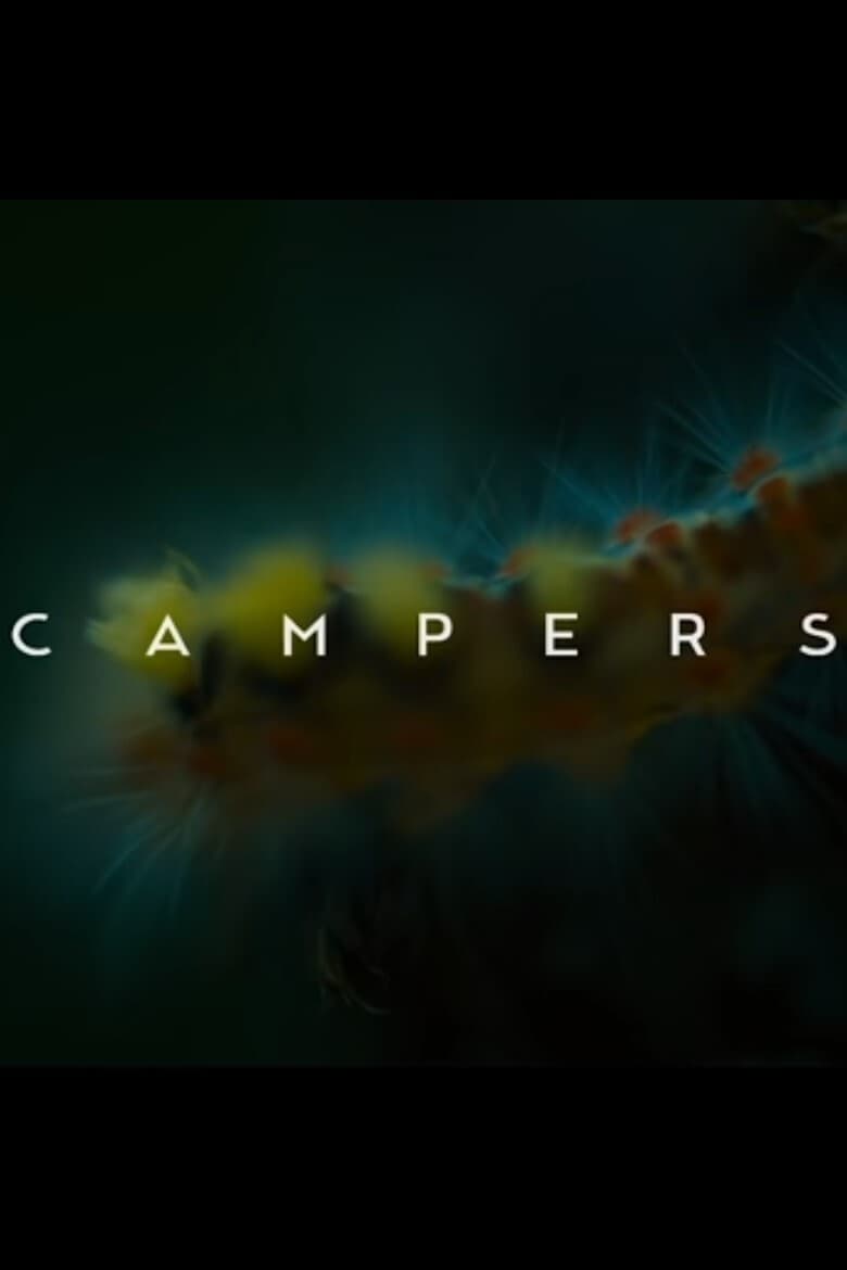 Poster of Campers